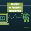 AdSense OR Affiliate Marketing: Which Option is Better to Make More Money