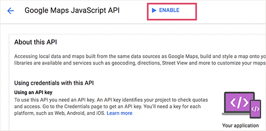 how to enable google javascript api