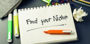 how to choose amoney making niche