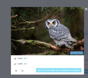 how to promote a blog with Later content marketing tools