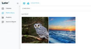 how-to-promote-blog-with-later-tool