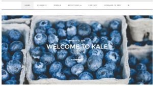 Kale wordpress blog themes