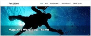 Poseidon top wordpress themes 2017
