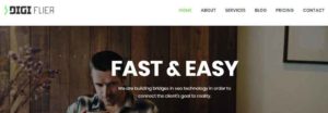 Best SEO companies in the United States - Digiflier